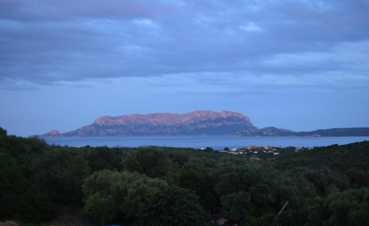 Sa Domitta Di Suiles Olbia Exterior foto